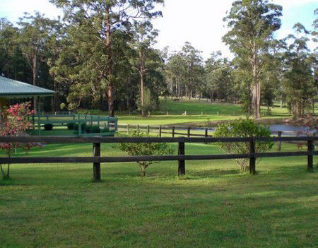 Neds Bed Horse O Tel - Lightning Ridge Tourism 2
