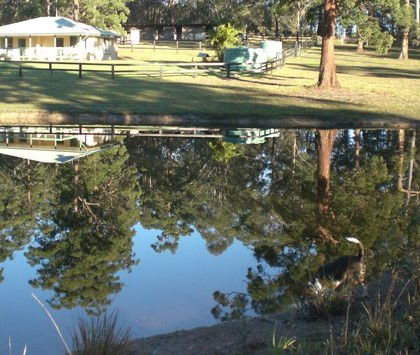 Neds Bed Horse O Tel - Lightning Ridge Tourism 4