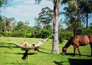 Clybucca NSW Lightning Ridge Tourism