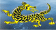 Dragon Phoenix Motel amp Restuarant - Lightning Ridge Tourism
