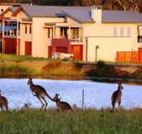 Grand Mercure The Vintage Hunter Valley - Lightning Ridge Tourism