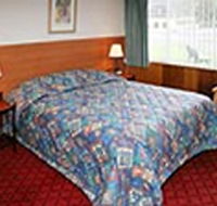Mt Lyell Motor Inn - Lightning Ridge Tourism