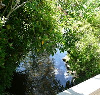 Mole Creek Hotel - Lightning Ridge Tourism