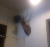 Union Hotel - Lightning Ridge Tourism