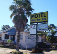 Blackboy Tree Motel - Lightning Ridge Tourism