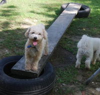 Beenleigh Pet Motel - Lightning Ridge Tourism