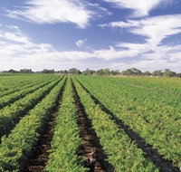 Diplomat Motel amp Restaurant - Lightning Ridge Tourism