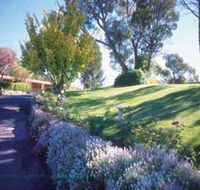 High Country Motel amp Tours - Lightning Ridge Tourism