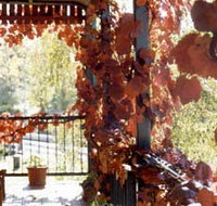 The Vines Motel amp Cottages - Lightning Ridge Tourism