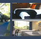 The Albany - Lightning Ridge Tourism