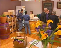 Settlers Ridge Organic Wines - Lightning Ridge Tourism 0