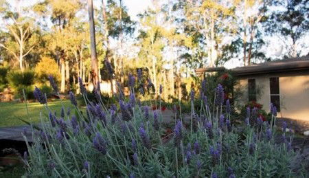 Wild Edge Retreat - Lightning Ridge Tourism 2