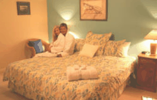 Villa By The Sea Bed And Breakfast - Lightning Ridge Tourism 1