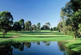 Camden Valley Country Club - Lightning Ridge Tourism 1