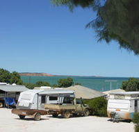 Blue Dolphin Caravan Park and Holiday Village - Lightning Ridge Tourism