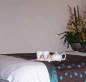 Best Western Ambassador Motor Inn - Lightning Ridge Tourism
