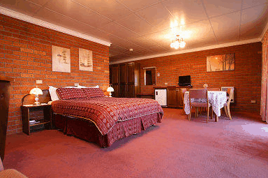 Swansea Waterloo Inn Motel - Lightning Ridge Tourism 4