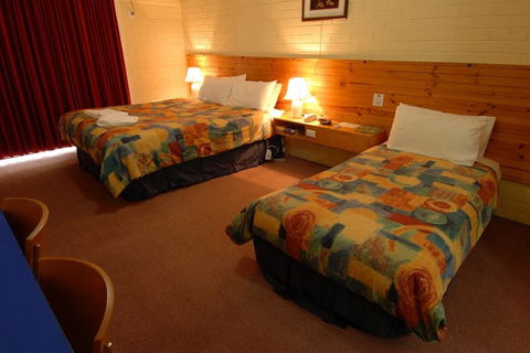 Barossa Motor Lodge - Lightning Ridge Tourism 4