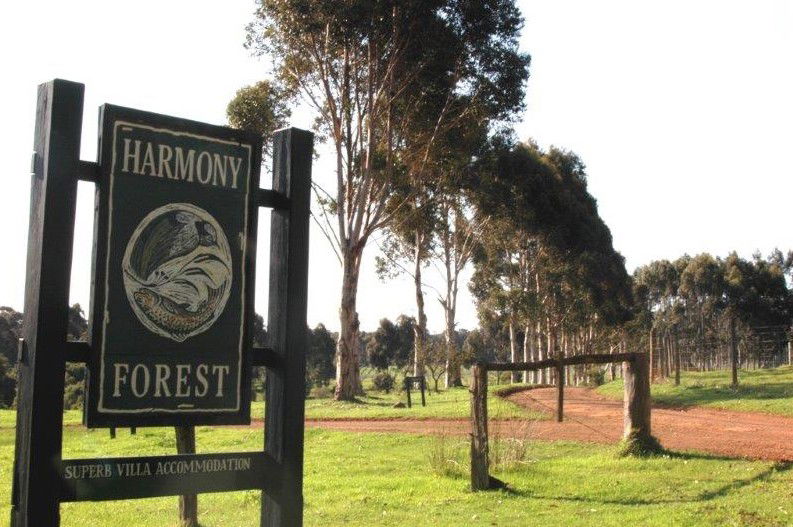  Lightning Ridge Tourism