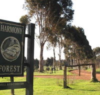 Harmony Forest - Lightning Ridge Tourism