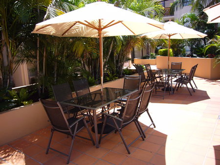 Chevron Palms - Lightning Ridge Tourism 6
