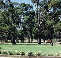 Saratoga Lodge - Lightning Ridge Tourism
