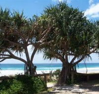 Pacific Surf Absolute Beachfront Apartments - Lightning Ridge Tourism