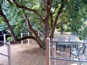Magnolia House Marysville - Lightning Ridge Tourism 0