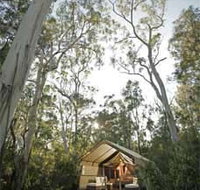 Paperbark Camp - Lightning Ridge Tourism