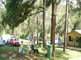 Glasshouse Mountains Holiday Village - Lightning Ridge Tourism 0