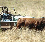 Bullo River Station - Lightning Ridge Tourism