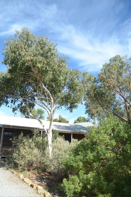 Dune Hideaway - Lightning Ridge Tourism 2