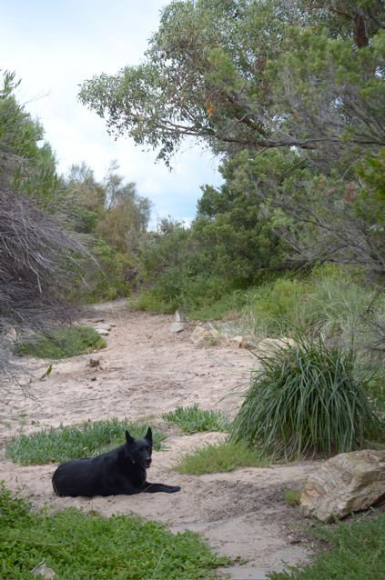 Dune Hideaway - Lightning Ridge Tourism 3