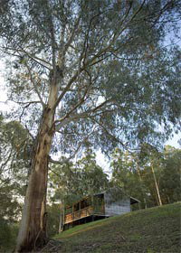 Ada VIC Lightning Ridge Tourism