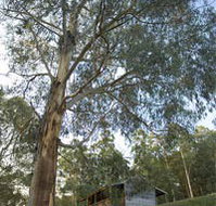 Outpost Restaurant - Lightning Ridge Tourism