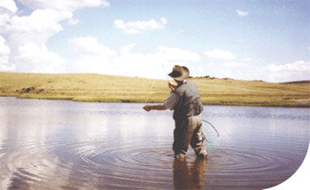 Tawonga Fishing Lodge - Lightning Ridge Tourism 3