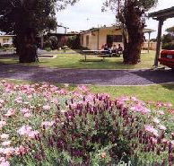 Brigadoon Holiday Units - Lightning Ridge Tourism