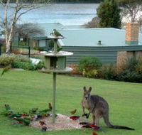 Gipsy Point Lakeside - Lightning Ridge Tourism