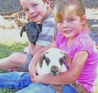 Mansfield Park - Lightning Ridge Tourism