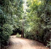 Mt Glorious Getaway Cottages And Conference Centre - Lightning Ridge Tourism