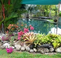 Daintree Wild Bed And Breakfast - Lightning Ridge Tourism