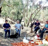 Bimbimbi And Little Hollow Farm Stay - Lightning Ridge Tourism