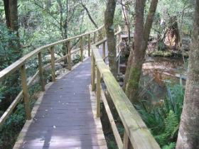 The Mouses House - Lightning Ridge Tourism 0