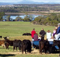 Bonny Brae - Lightning Ridge Tourism