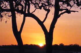 Coodardie Station Stay - Lightning Ridge Tourism 0