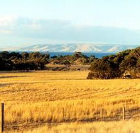 The Kona - Lightning Ridge Tourism