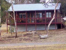 Ivybrook Vineyard Cottage - Lightning Ridge Tourism 0