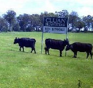 Cluan Homestead - Lightning Ridge Tourism