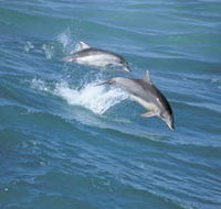 Seachange - Lightning Ridge Tourism