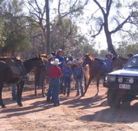 Evening Star Tourist Park - Lightning Ridge Tourism